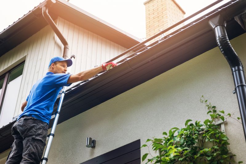 Gutter Cleaning and Inspection
